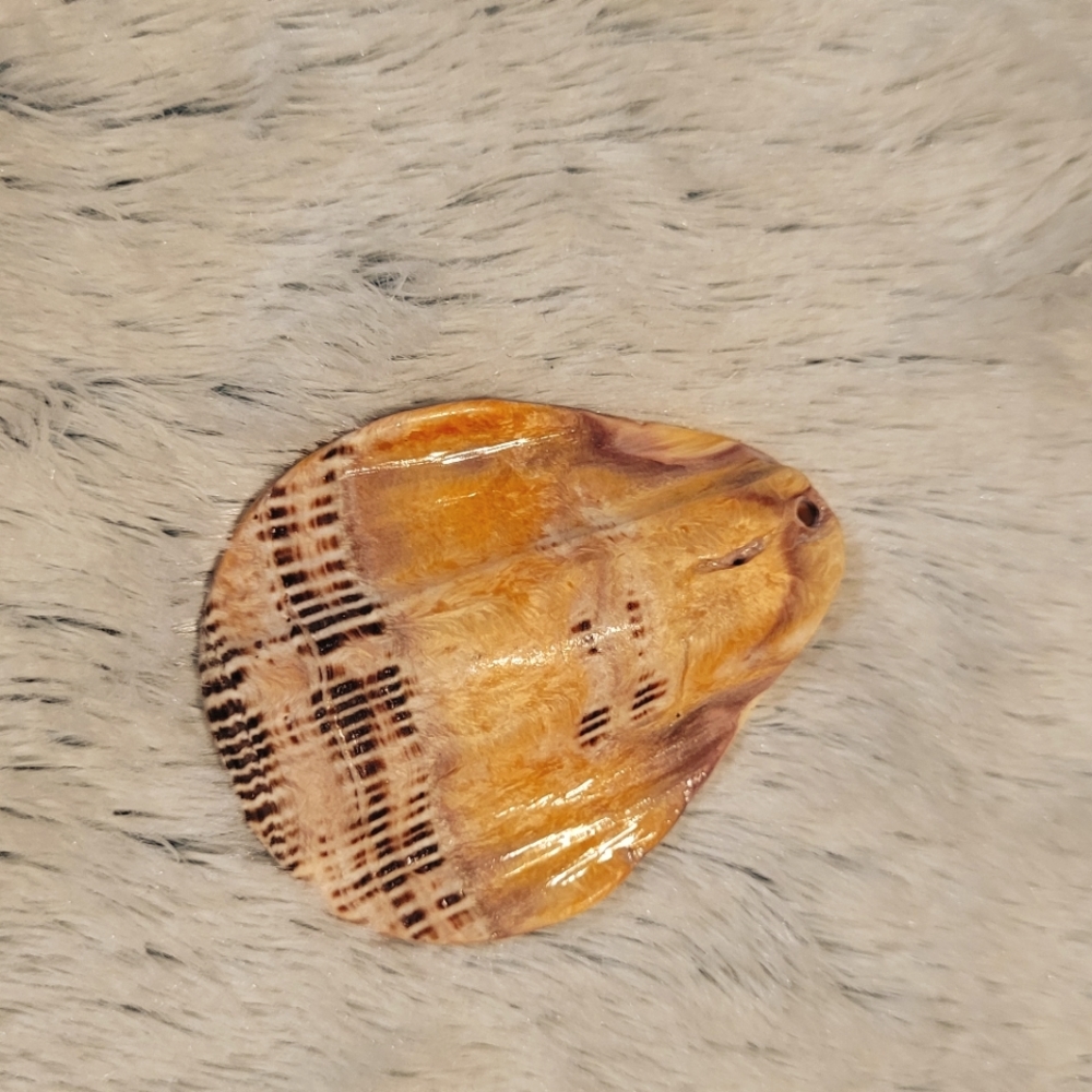 Shell Pendant